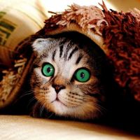 Uitverkoop van diamondpaintingshop.be