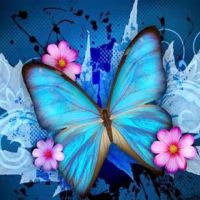 Uitverkoop van diamondpaintingshop.be