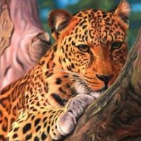 Uitverkoop van diamondpaintingshop.be