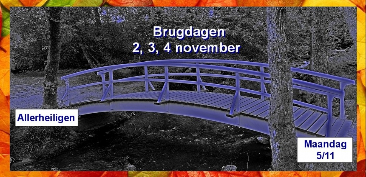 Brugdagen